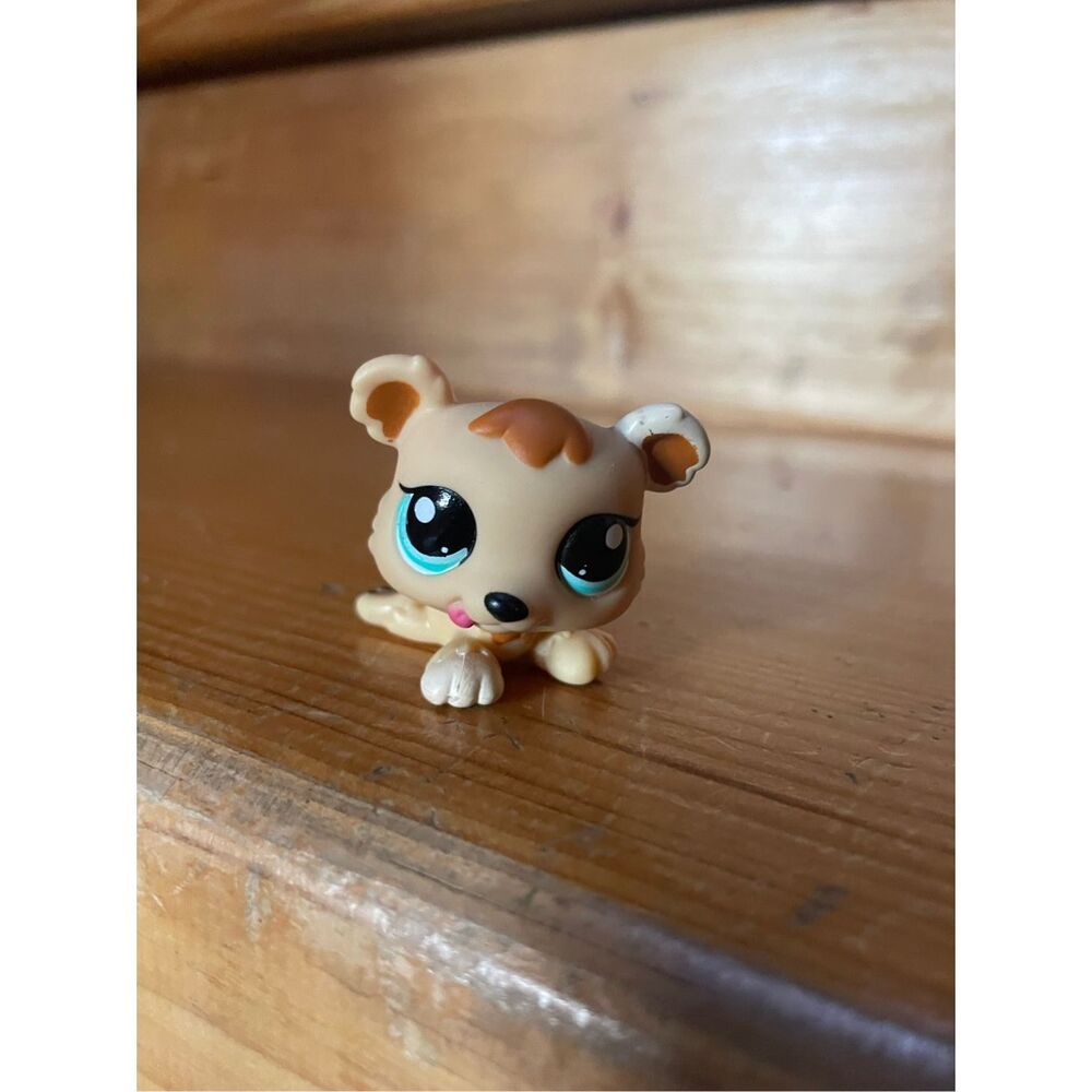 Littlest Pet Shop Bear #155